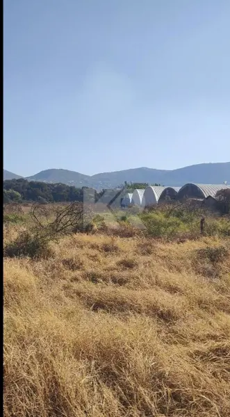 Terreno en venta en San Gaspar, Jiutepec — foto 3 de 6