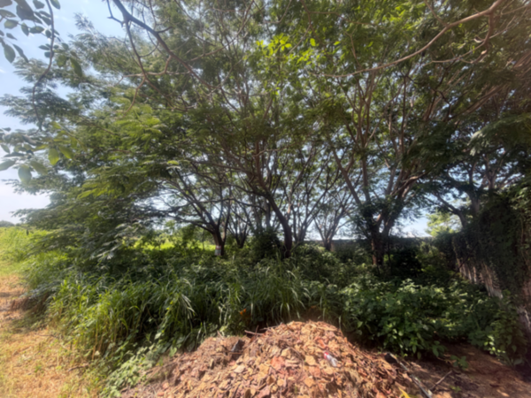 Terreno en venta en Comala, Comala — foto 2 de 8