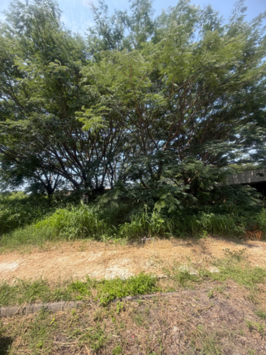 Vista 4 de Terreno en Venta en Comala, Comala, Colima