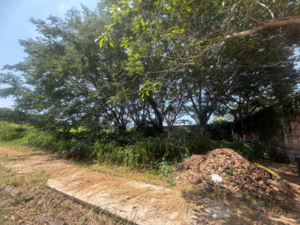 Vista 3 de Terreno en Venta en Comala, Comala, Colima