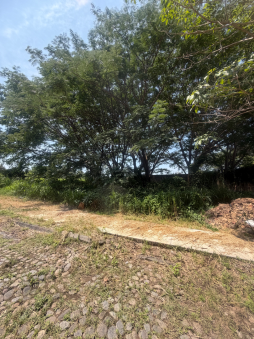 Terreno en venta en Comala, Comala — foto 1 de 8