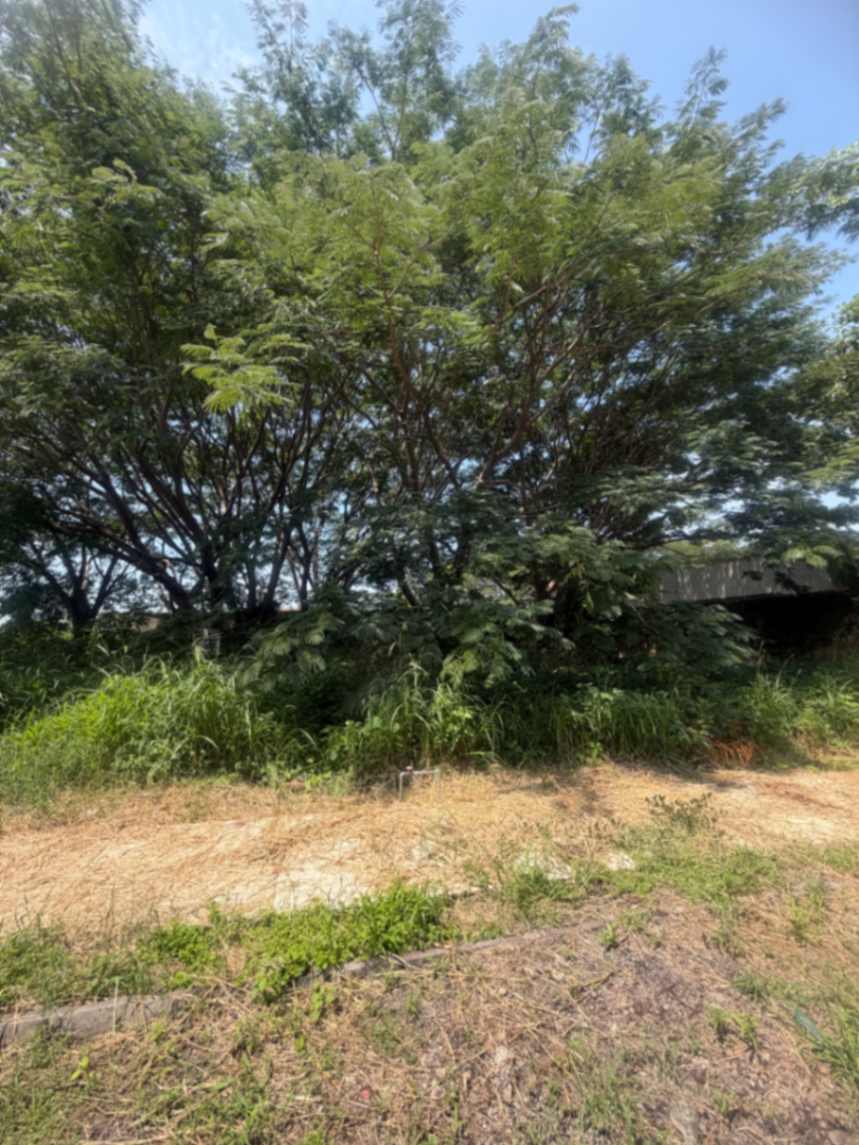 Vista 5 de Terreno en Venta en Comala, Comala, Colima