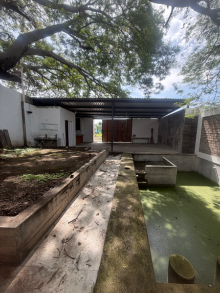Local en renta en Las Colinas, Villa de Álvarez — foto 2 de 11