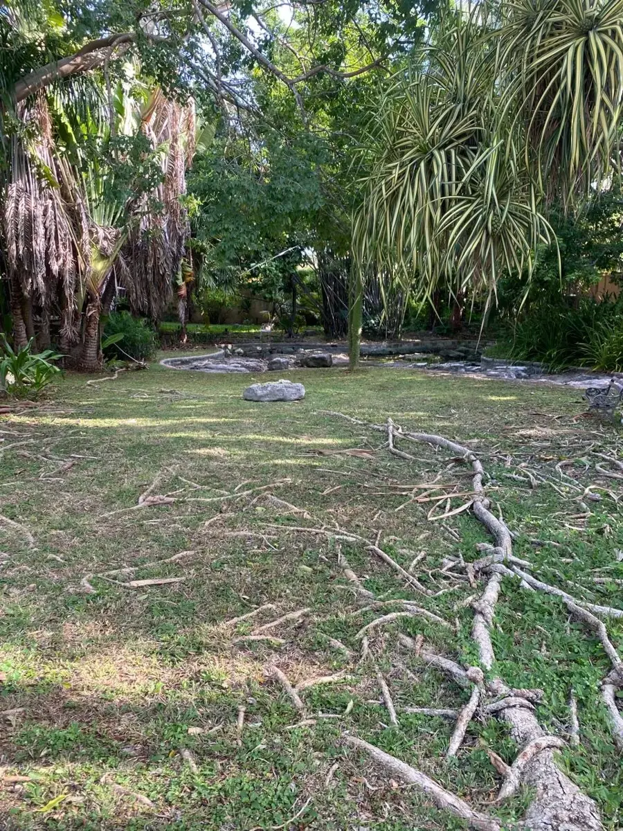 Terreno en venta en Montecristo, Mérida — foto 1 de 2
