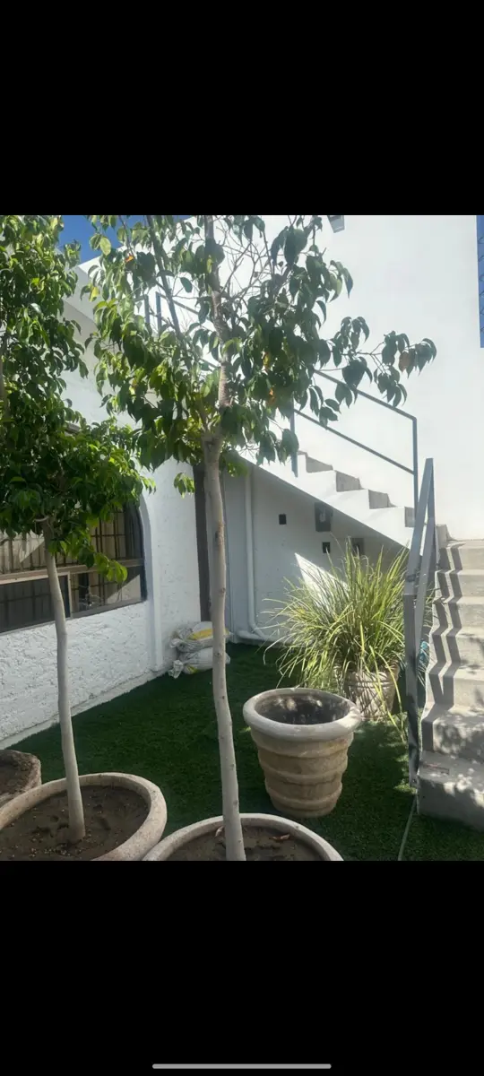 Departamento en renta en Torreon Jardin, Torreón — foto 1 de 8