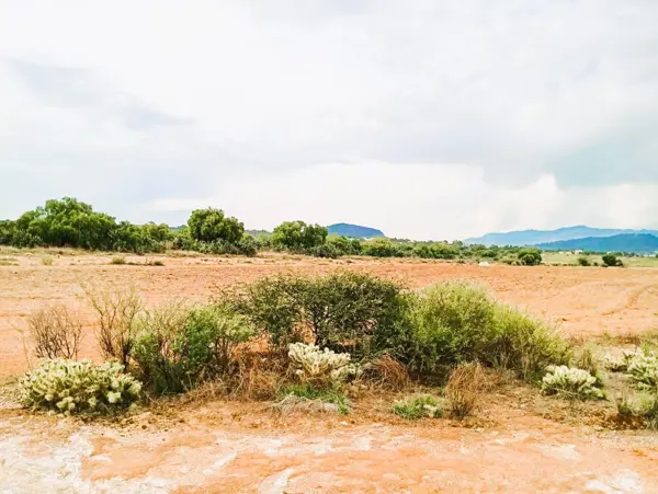Terreno en venta en Acayuca, Zapotlán de Juárez — foto 2 de 18