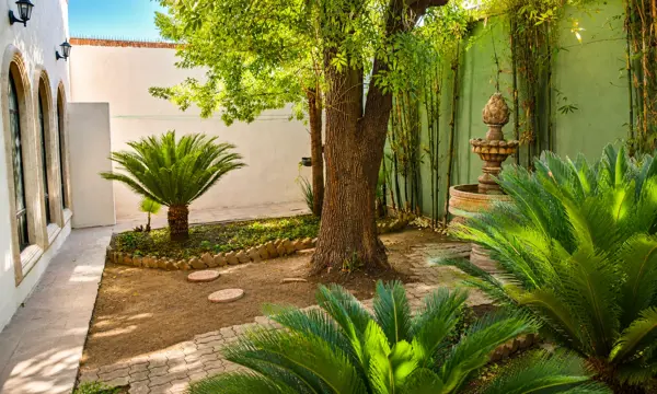 Casa en venta en Residencial San Patricio, Saltillo — foto 2 de 19