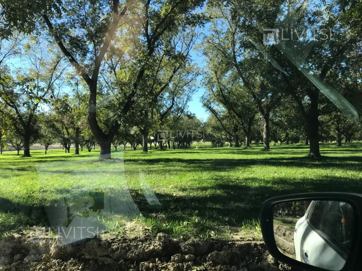Terreno en venta en Parras, Parras — foto 1 de 9