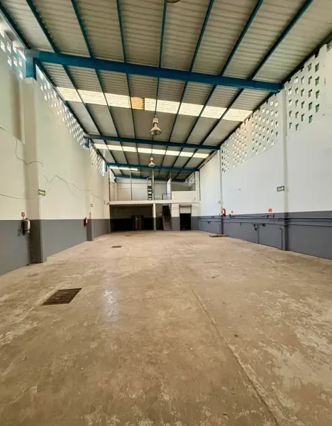 BODEGA ZONA MADERO Y COLON MONTERREY RENTA