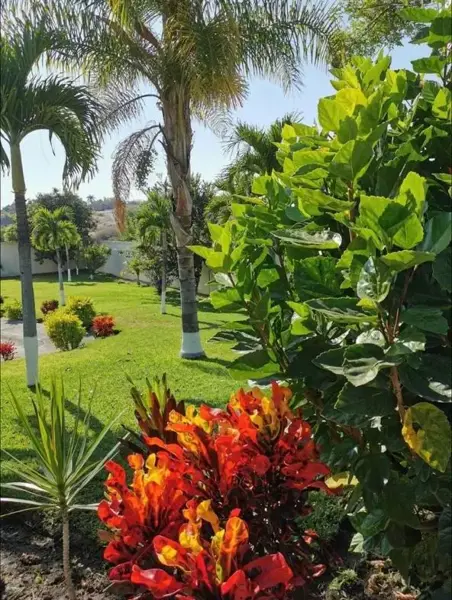 Casa en venta en Colinas de Altar, Temixco — foto 2 de 16