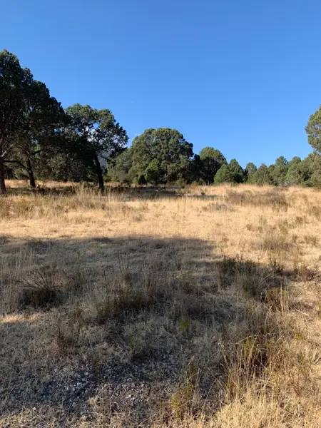 Terreno en venta en Los Llanos, Arteaga — foto 2 de 8