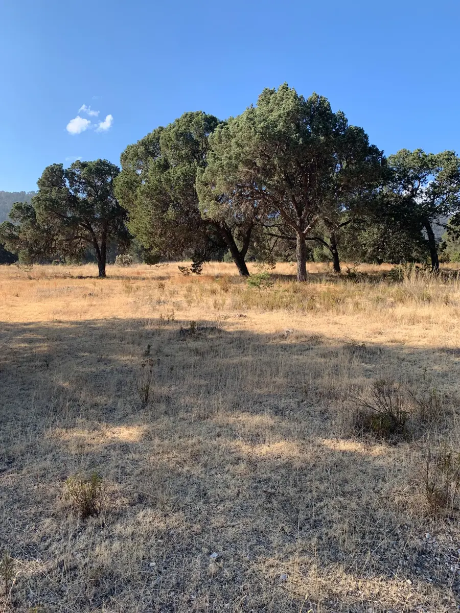 Terreno en venta en Los Llanos, Arteaga — foto 1 de 8