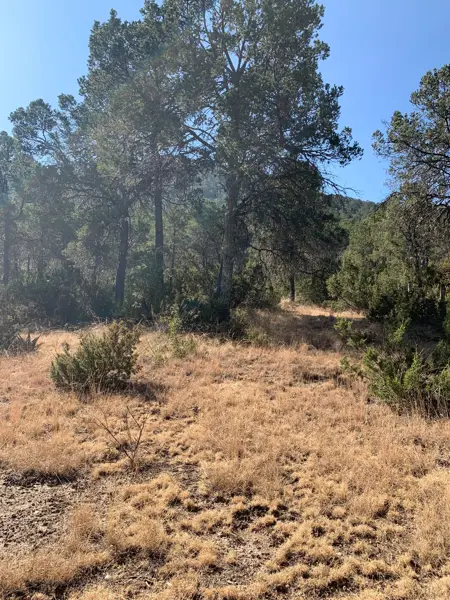 Terreno en venta en Los Llanos, Arteaga — foto 3 de 8