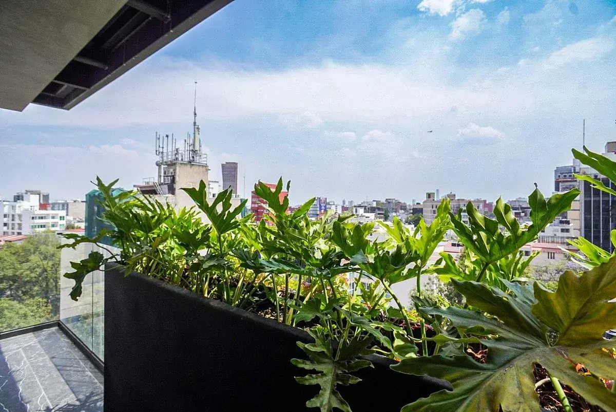 Departamento en venta en Roma Sur, Cuauhtémoc — foto 1 de 17
