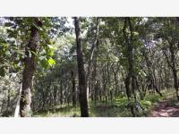 Terreno en venta en Santa Maria Magdalena Cahuacan, Nicolás Romero — foto 3 de 21
