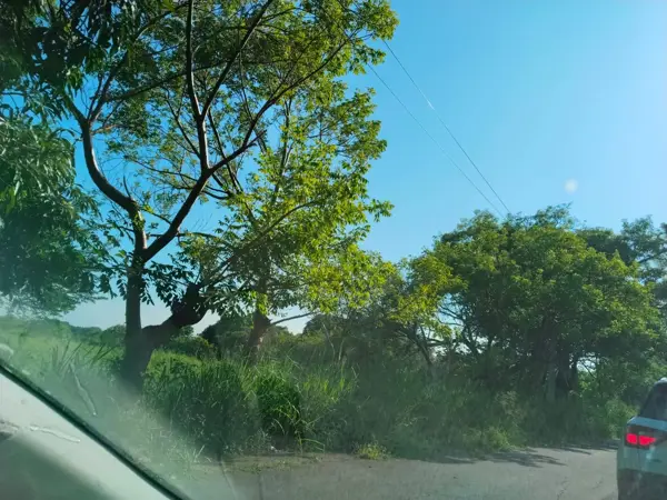 Terreno en venta en Vargas, Veracruz — foto 2 de 4
