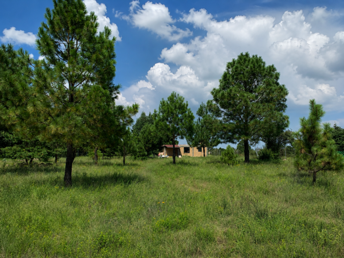 Finca-Rancho en venta en Amealco de Bonfil Centro, Amealco de Bonfil — foto 1 de 16