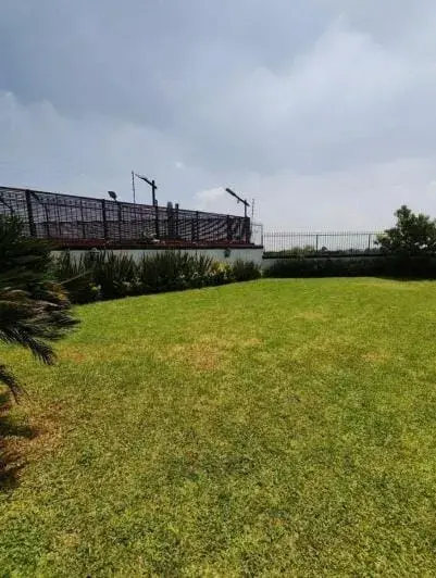 Casa en renta en Colinas del Bosque, Tlalpan — foto 2 de 6