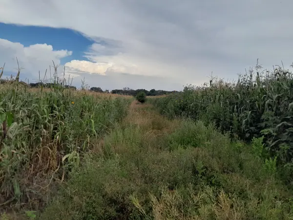 Terreno en venta en San Francisco Acazuchitlaltongo, Polotitlán — foto 3 de 15