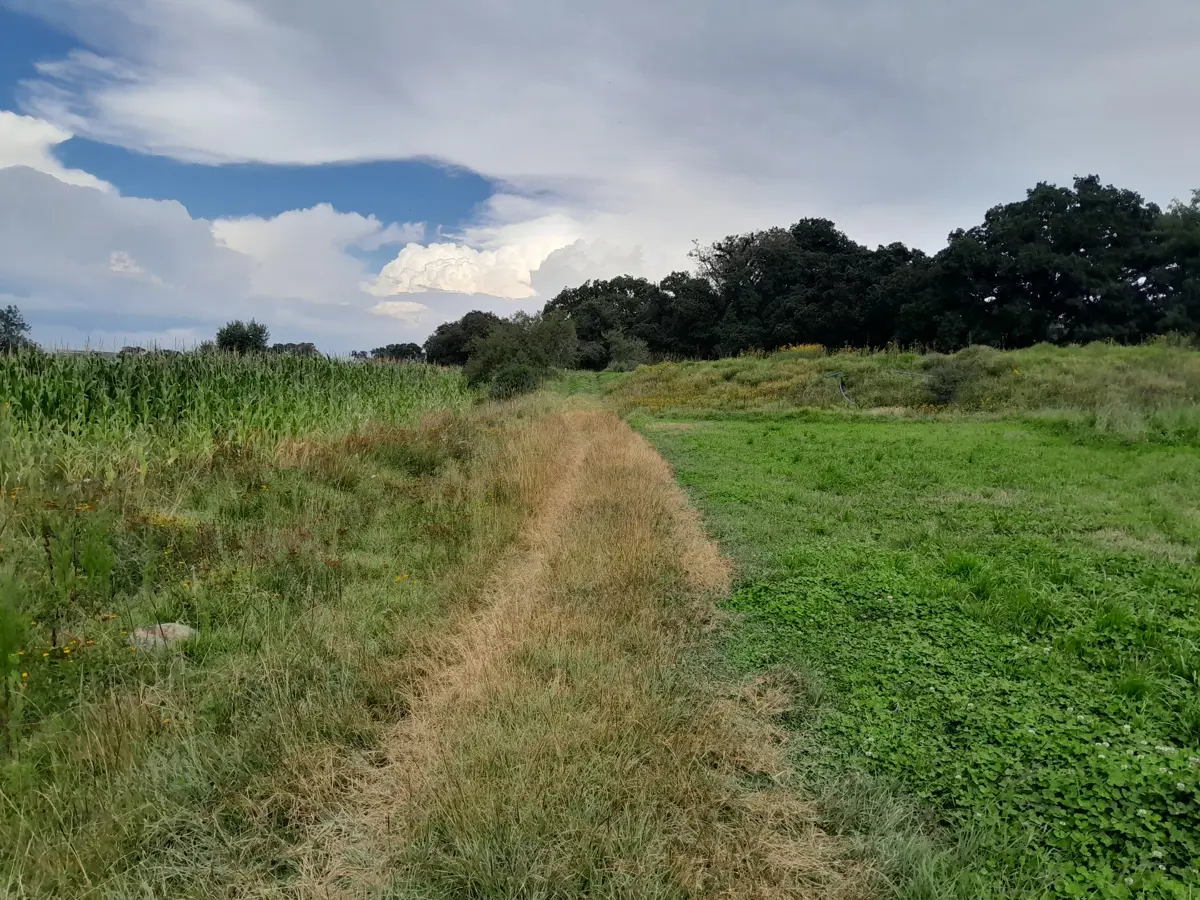 Terreno en venta en San Francisco Acazuchitlaltongo, Polotitlán — foto 1 de 15