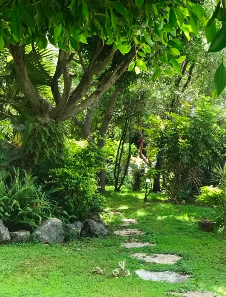 Casa en venta en Mirador Universidad, Cuernavaca — foto 3 de 13