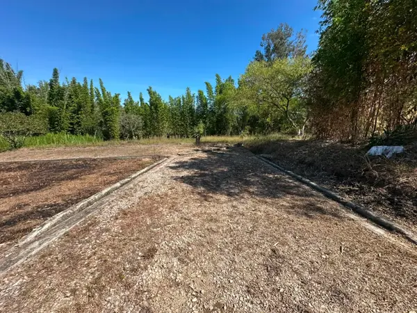 Terreno en venta en Tres Pasos, Emiliano Zapata — foto 2 de 7