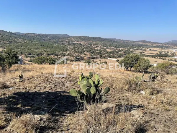 Terreno en venta en Los Pinos, Amozoc — foto 3 de 10