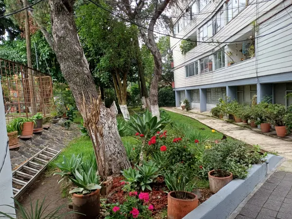 Departamento en venta en San Jeronimo Lidice, La Magdalena Contreras — foto 3 de 29