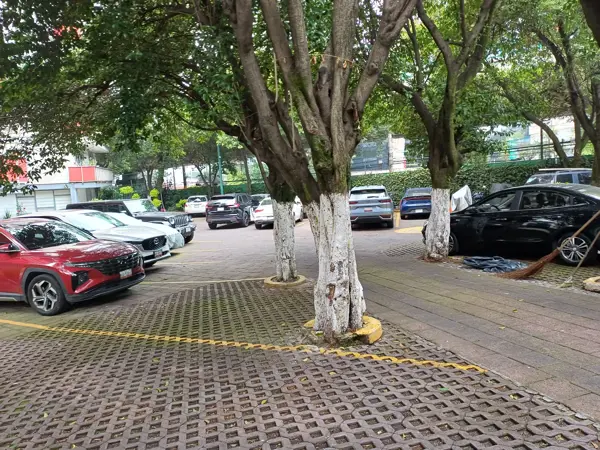 Bonito departamento bien ubicado cerca de CU