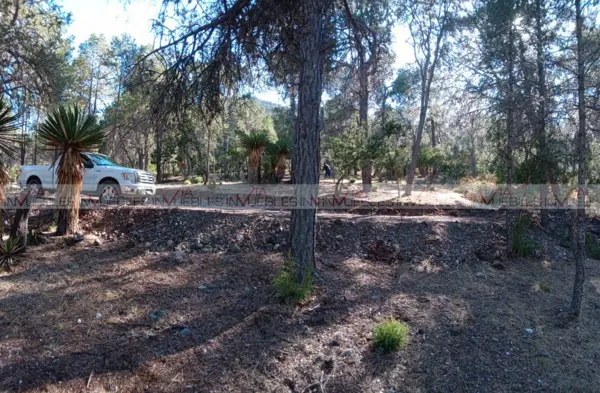 Terreno en venta en Jame, Arteaga — foto 3 de 12