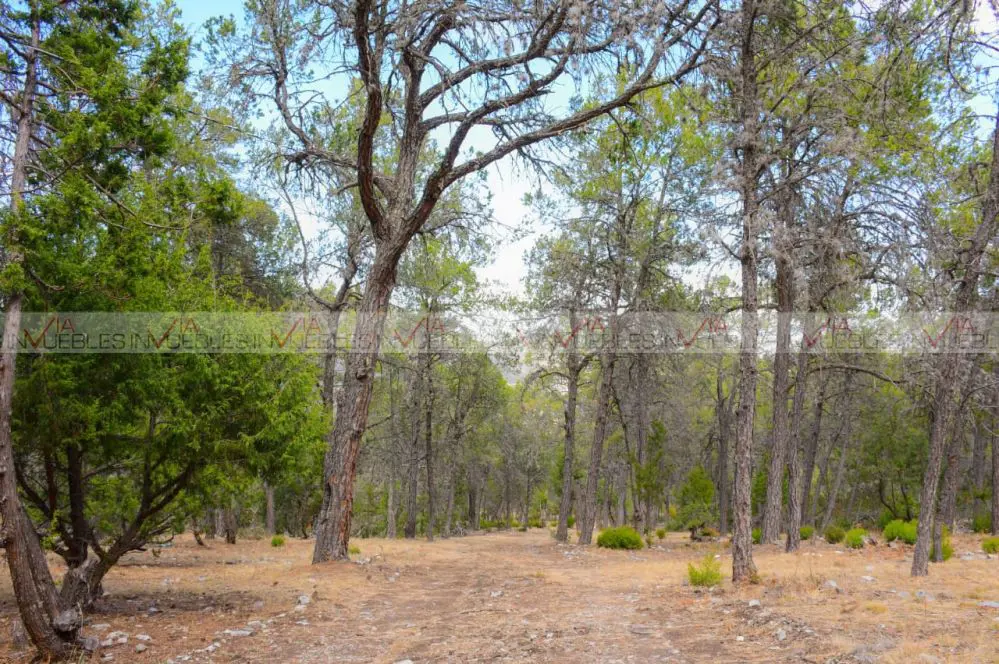 Terreno en venta en Jame, Arteaga — foto 1 de 12