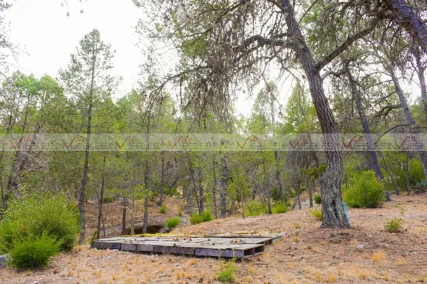 Terreno en venta en Jame, Arteaga — foto 2 de 12