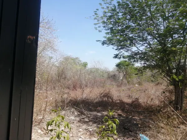 Terreno en venta en Plan de Ayala, Mérida — foto 2 de 3