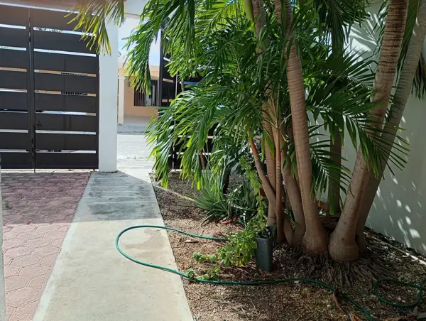 Casa en venta en Chuburna de Hidalgo, Mérida — foto 3 de 12