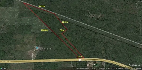 Terreno sobre Carretera Mérida-Cancún