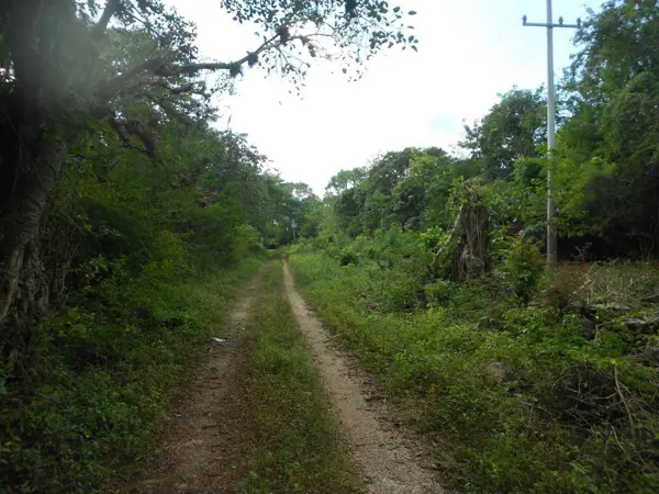 Quinta en venta en Cansahcab, Cansahcab — foto 3 de 50