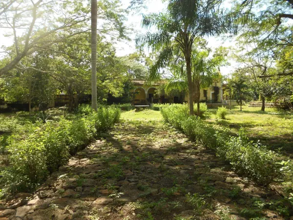 Quinta en venta en Cansahcab, Cansahcab — foto 2 de 50