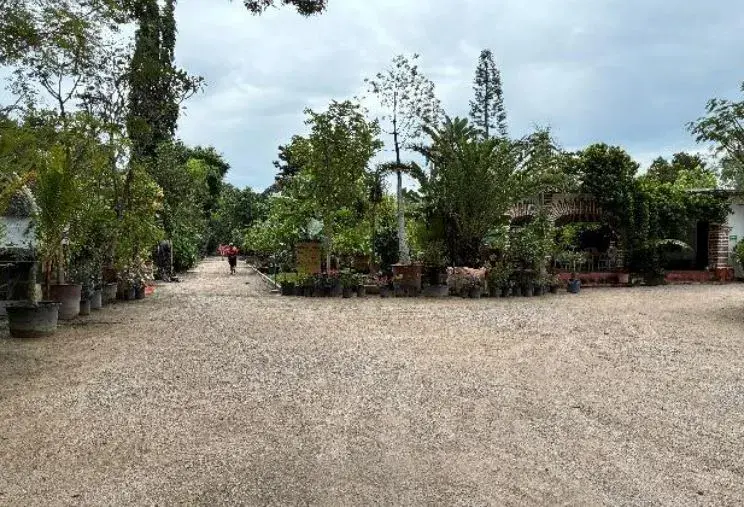 Terreno en venta en Centro, Yautepec — foto 1 de 5