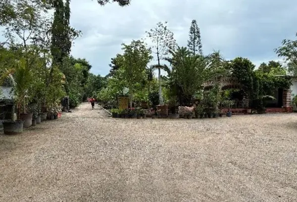 Terreno en venta en Centro, Yautepec, Morelos