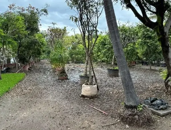 Terreno en venta en Centro, Yautepec — foto 3 de 5
