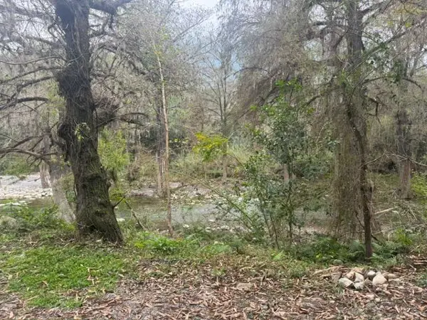 Terreno en venta en Sin colonia, Allende — foto 2 de 2