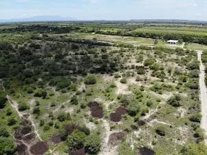 Terreno en venta en Sin colonia, Linares — foto 3 de 3