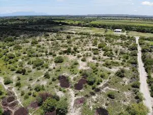 Terreno en venta en Sin colonia, Linares — foto 2 de 3