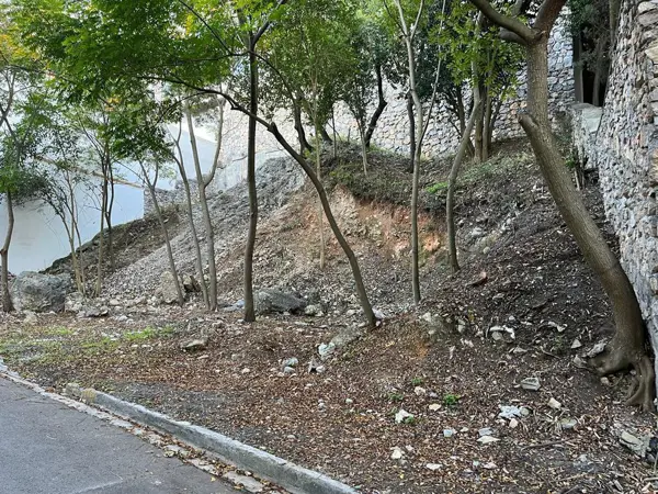 Terreno en venta en Colinas de San Angel, San Pedro Garza García — foto 2 de 4