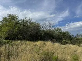 Terreno en venta en Morelos, Montemorelos — foto 2 de 7
