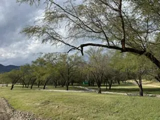 Terreno en Venta en Valle de Venado Zona Carr. Nacional (LJGC)