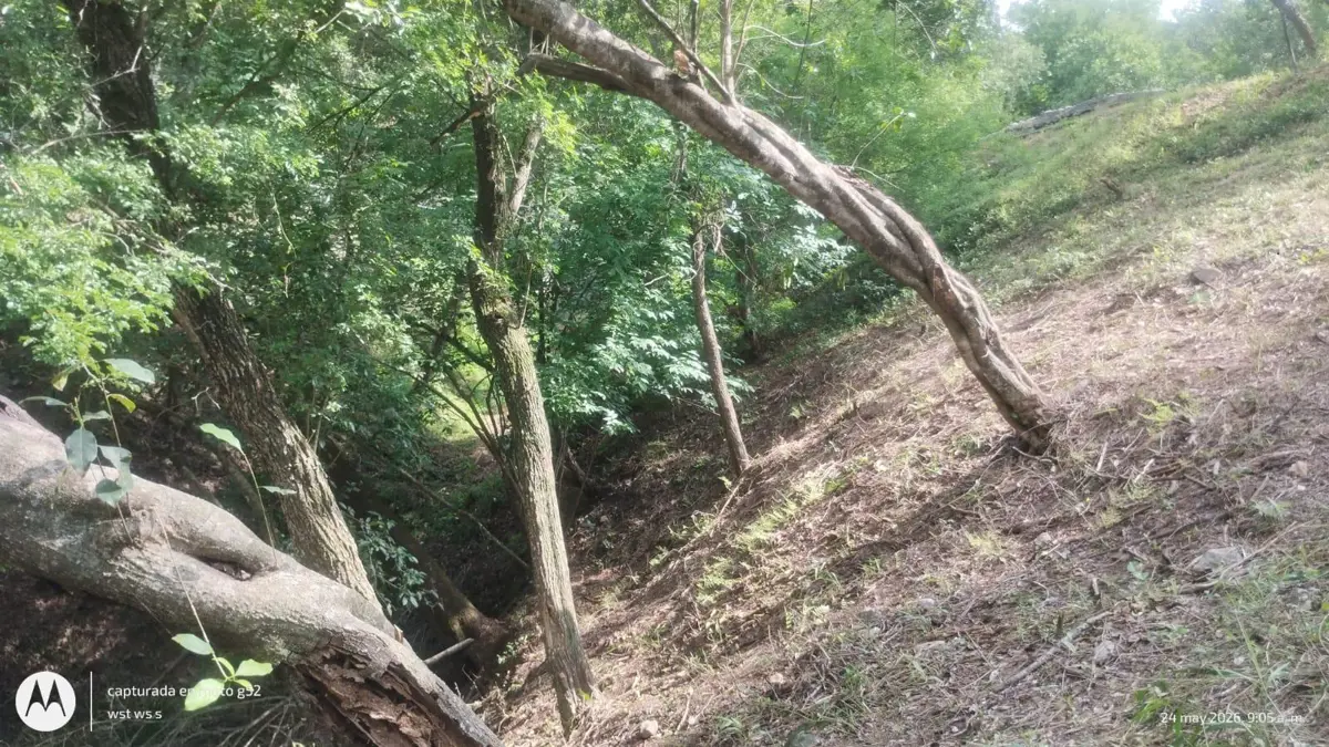 Terreno en venta en Punta la Boca, Santiago — foto 1 de 4