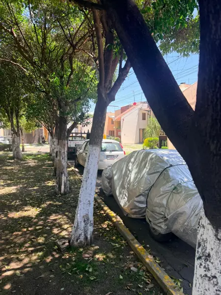CASA DUPLEX EN RENTA ZONA ANIMAS CTO JUAN PABLO II PLAZA EXPRESS