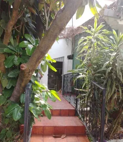 Casa en renta en Palmira, Cuernavaca — foto 2 de 18