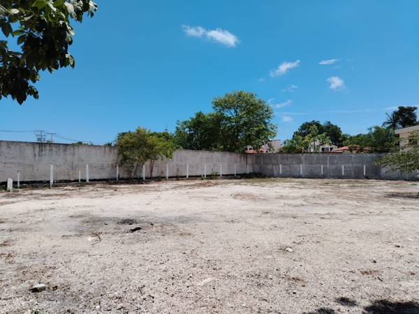 Terreno en renta en Colegios, Benito Juárez — foto 2 de 7